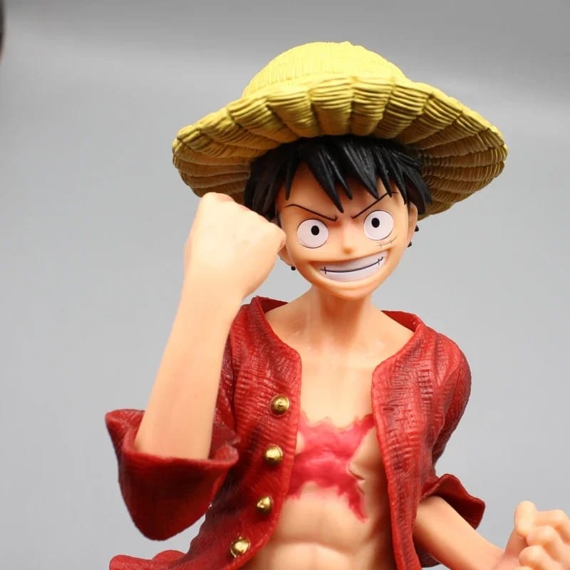 Luffy with ship